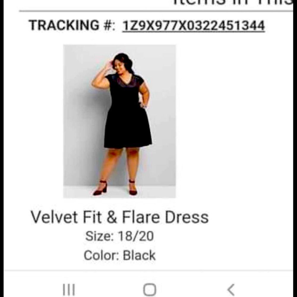 Lane Bryant Fit and flair velvet patterned dress